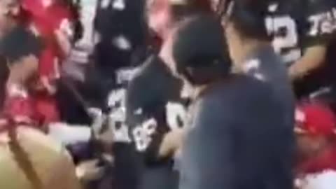 NFL Fans Fight