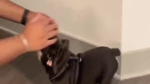https://www.youtube.com/watch?v=J458dHqrYdc