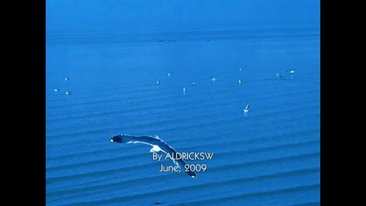 Todo Azul do Mar - Flavio Venturini