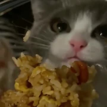 Why is food not ending up in mouth? 🤣