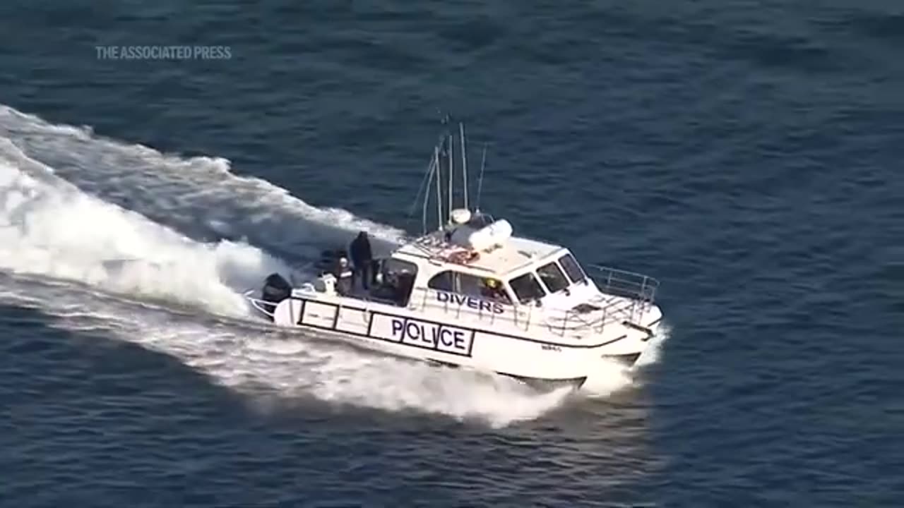 Humpback whale freed from fishing tackle in Sydney Harbour