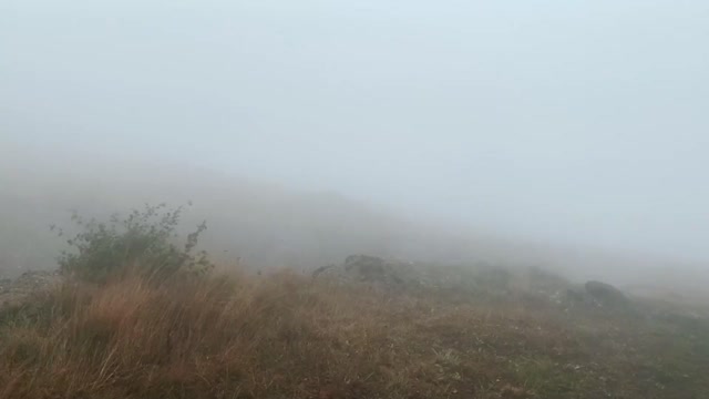 "ГЛОБАЛЬНЫЙ СИНДРОМ" Второй раздел передачи "МЕЖДУНАРОДНОЕ ОБОРЗЕНИЕ" 🌅