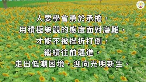願解如來真實義