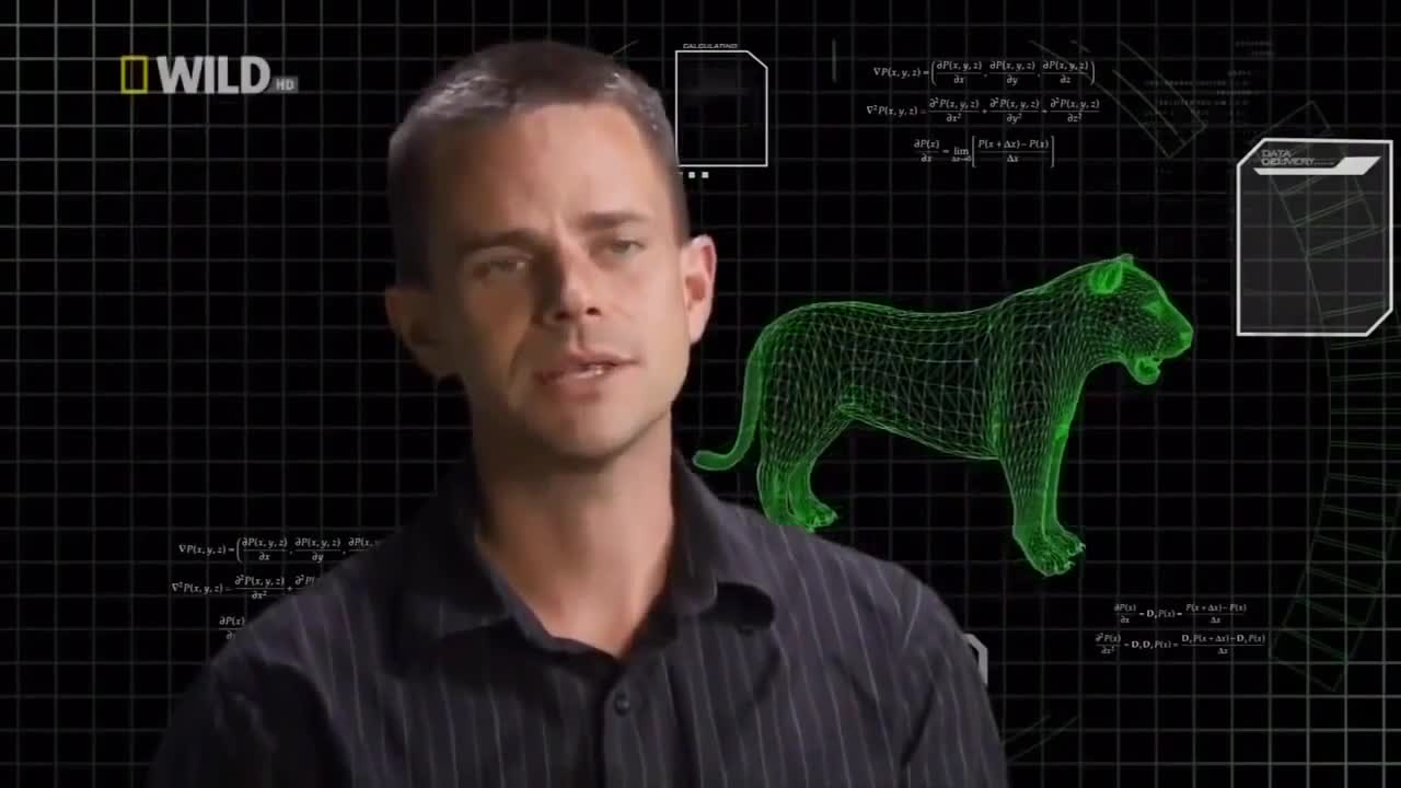 Lion Documentary (National Geographic )