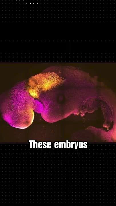 Anthony Pomp - Scientists creating Babies in Labs