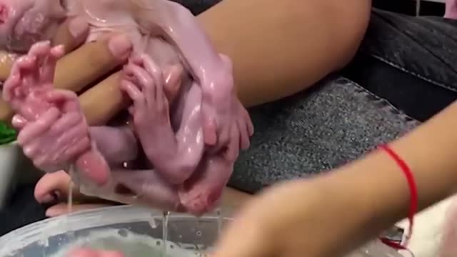 The woman is bathing the Infant Monkey