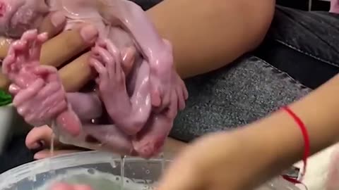 The woman is bathing the Infant Monkey