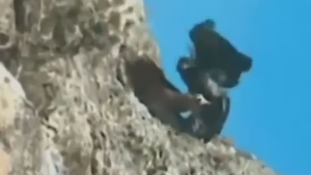 Amazing