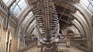 Natural history museum