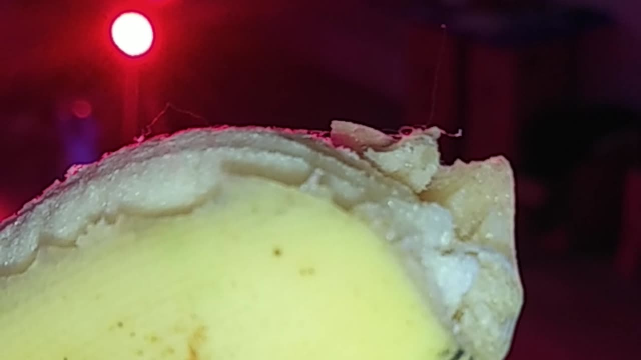 Anti-gravitic threads rising from organic bananas?