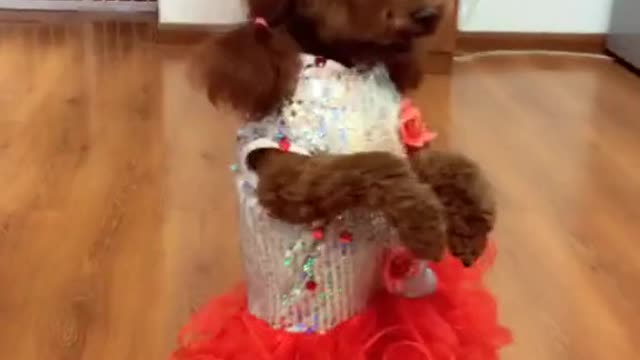 a frustração é inevitável, depois Da Chuva, Arco - íris,