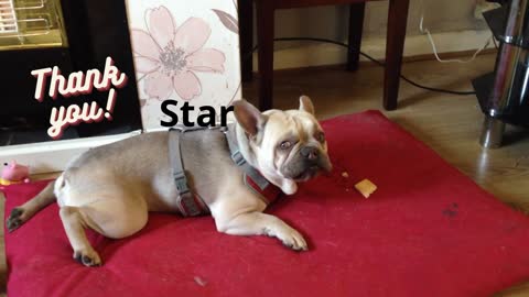 R.I.P. Star