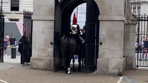 Queen’s Guard Horse Goes Crazy