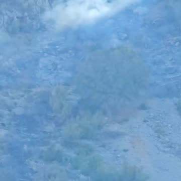 Shengjini te merkuren