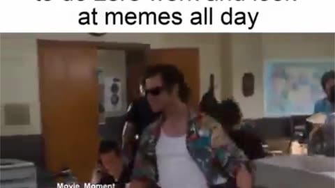 Memes all day!
