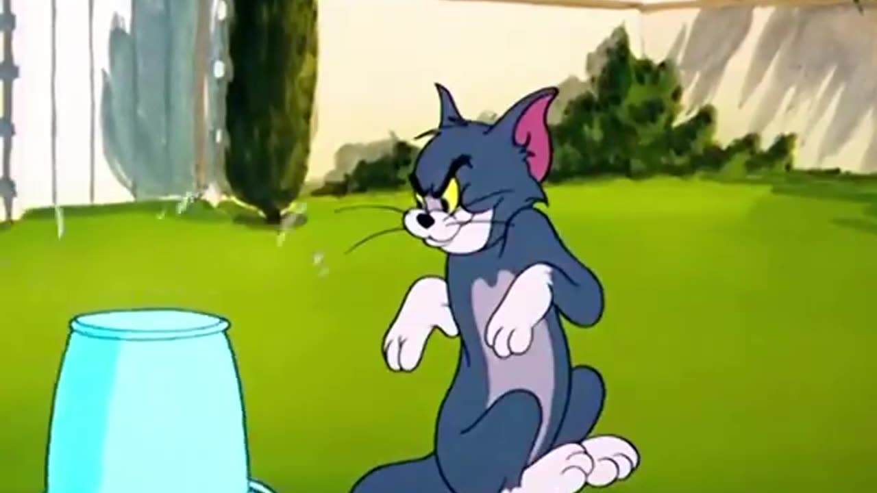 Tom And Jerry