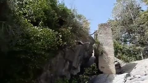 make a sightseeing tour