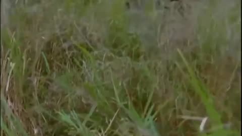 SAVIOR-Chuck Norris Full muvie action english 2022-subtitle bahasa indonesia action muvie