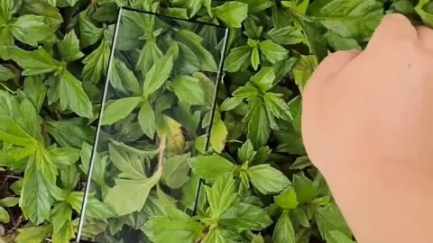 Samsung Galaxy S23 Ultra display 🤯😮⁣