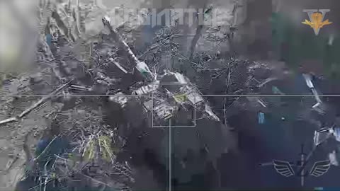 Lancet Hit Msta-S Gun