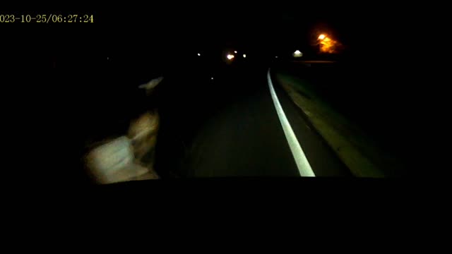 Deer on Road Narrowly Avoided