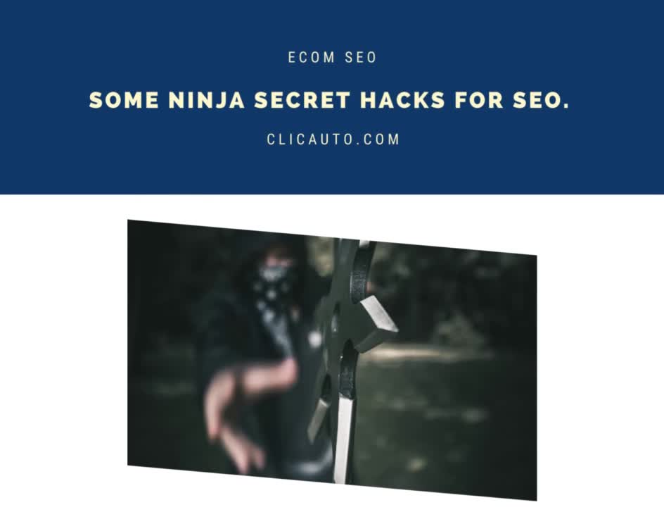 SOME NINJA SECRET HACKS FOR SEO.