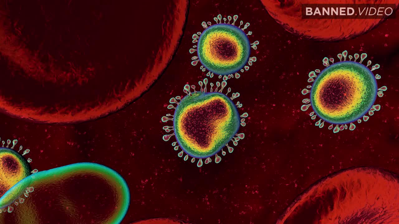 God gave you an Immune system for a reason - Red Pill TV