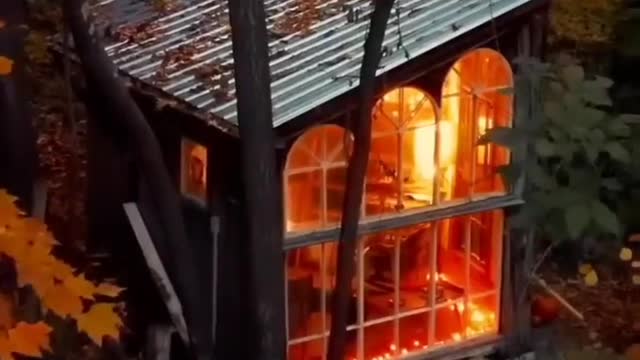 Amall house in the forest