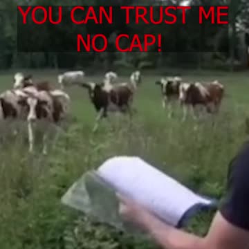 You can TRUST me! GOTCHA BIATCH! 😂😂😂#shorts #funny #memes