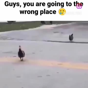 They're going the wrong way