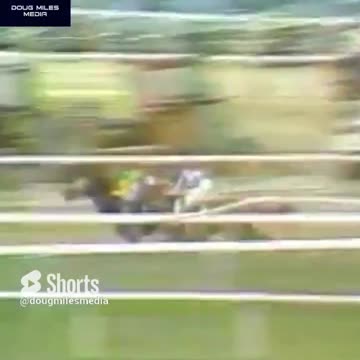 50TH ANNIVERSARY OF SECRETARIAT WINNING BELMONT STAKES AND TRIPLE CROWN!
