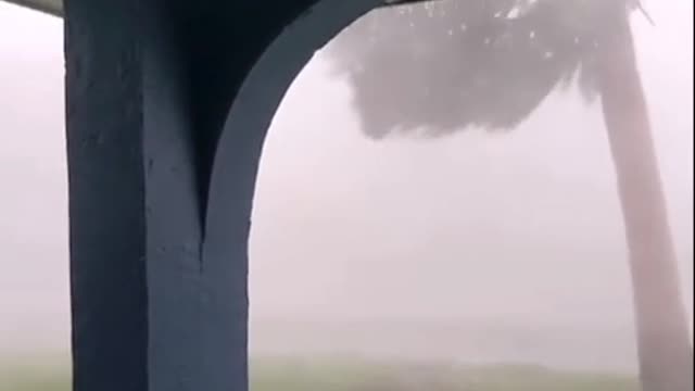 shelter in place