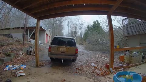 Strong Wind Knocks Tree Onto Car