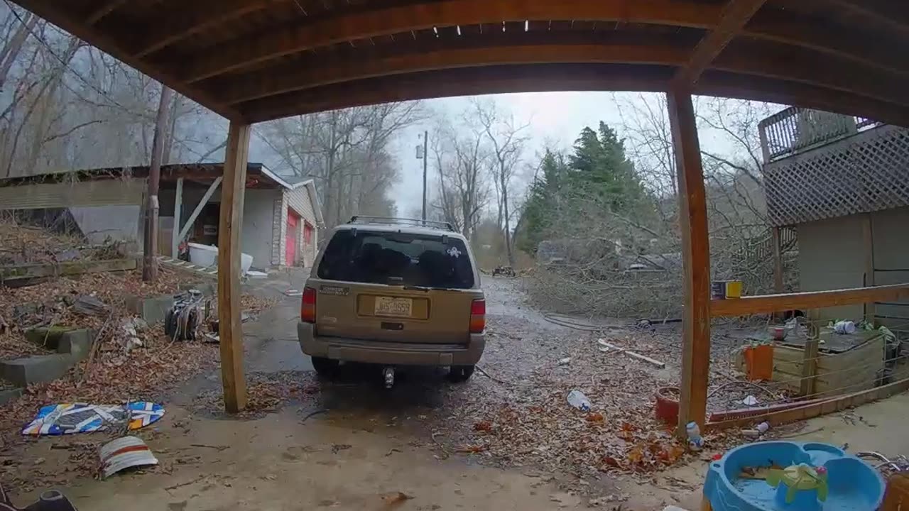 Strong Wind Knocks Tree Onto Car