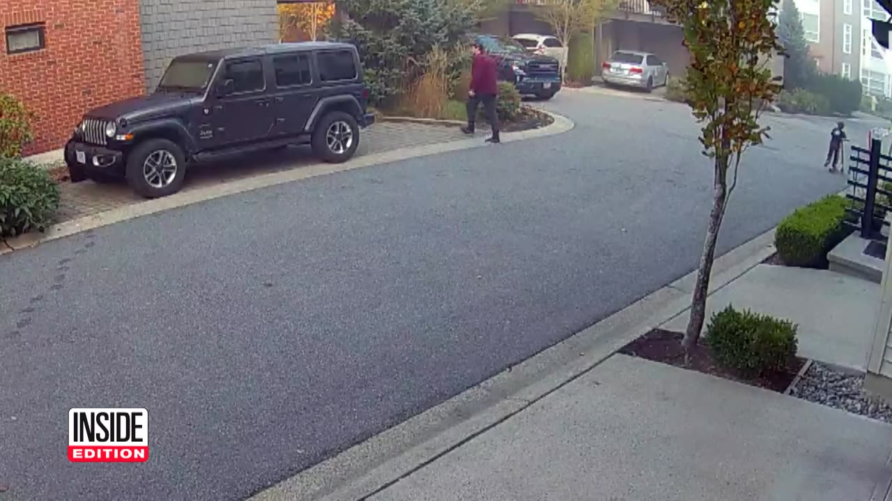 7-Year-Old Encounters Massive Bear While Riding Scooter