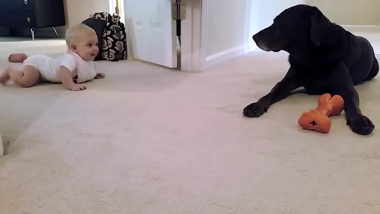 Baby's first Crawl