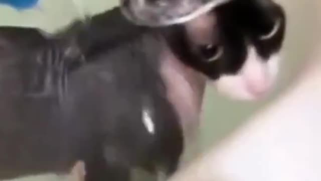 respect this bath hahaha