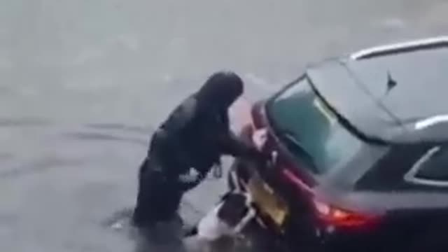 Hero Dog Helps Push Car Out of Floodwater and Rescue Two Women Stuck Inside in Glasgow.