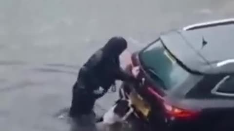 Hero Dog Helps Push Car Out of Floodwater and Rescue Two Women Stuck Inside in Glasgow.