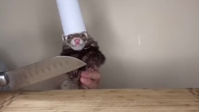 Reply to the hardest dish I ever attempted to do.