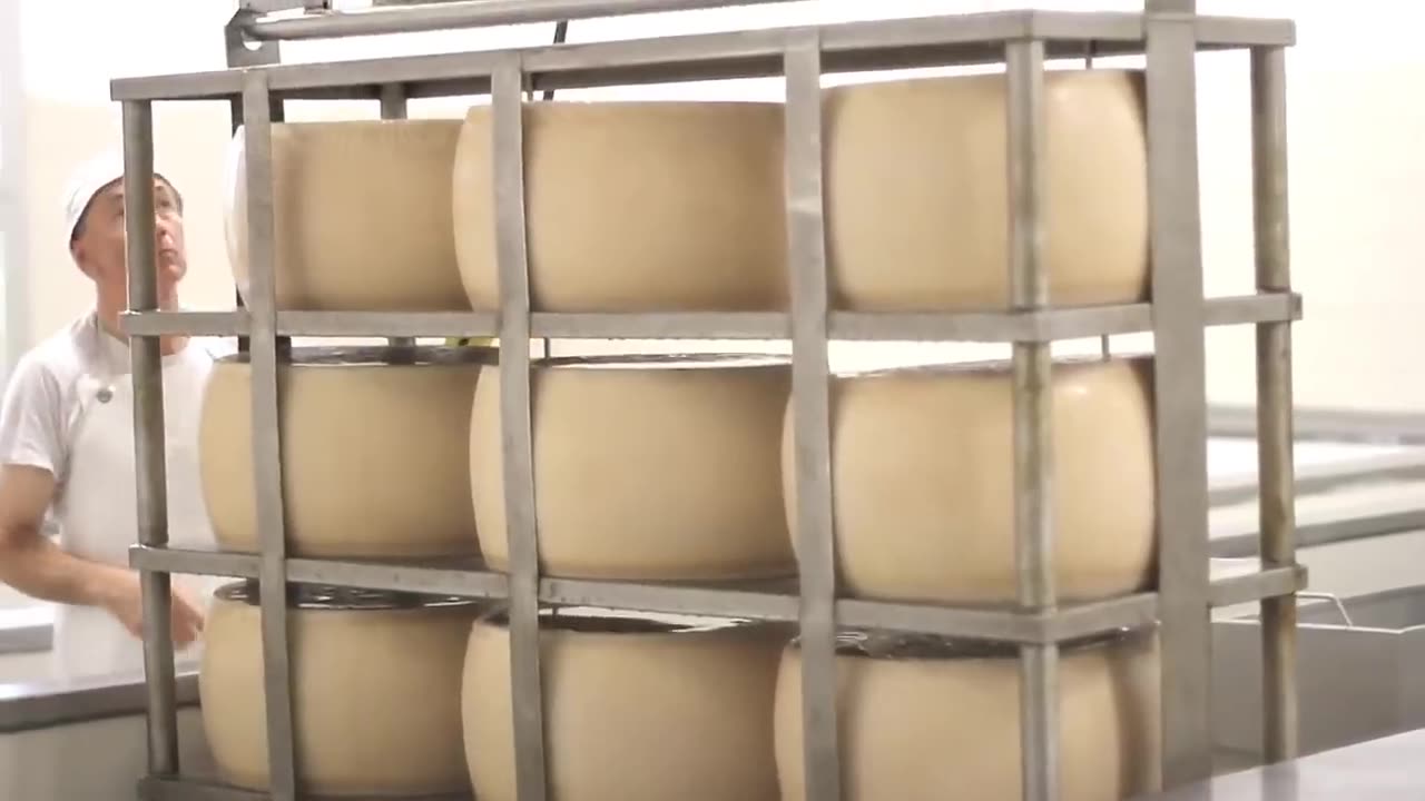 Cheese Making Process inside Factory - Amazing Food Processing #45