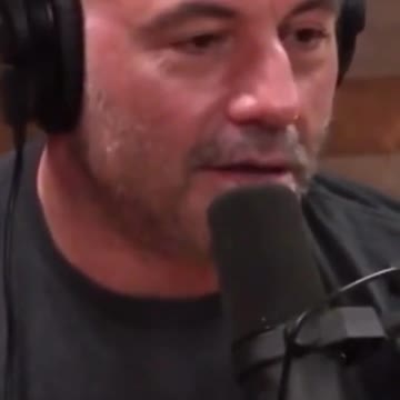 Joe Rogan "Males are NOT Evil" #shorts #viral