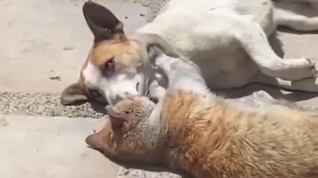 Massage