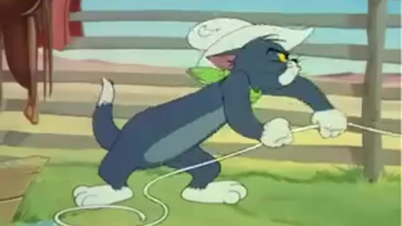 Tom n Jerry
