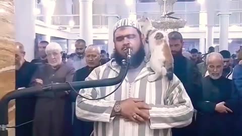 A cat jumps on the Imam's shoulder | Funniest Cats Videos 😺 Best Funny Animal Videos Of The 2023