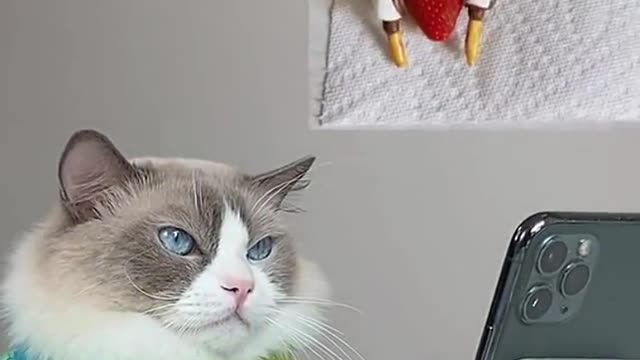 Early thanksgiving! 😂