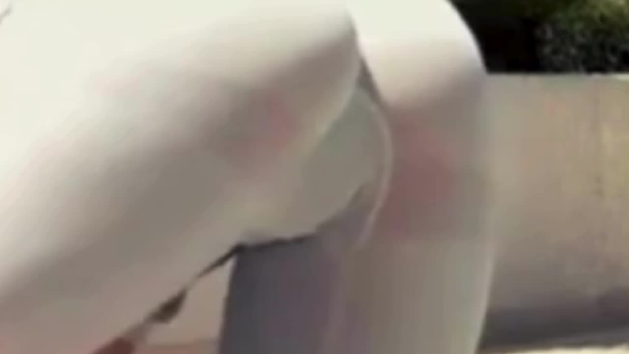 (Rise Revive) - "Yoga Oasis"