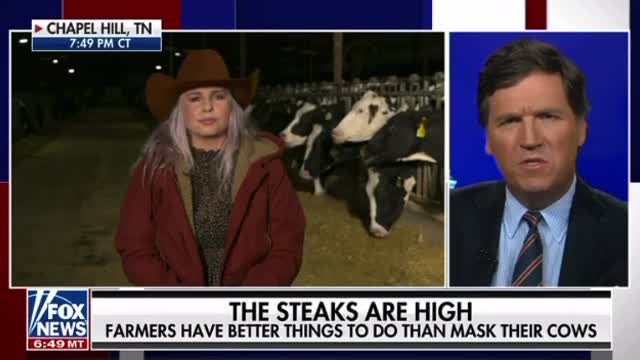 Climate Crazy Goes Next Level - Udder Cow Fart Madness In France - Tucker Carlson