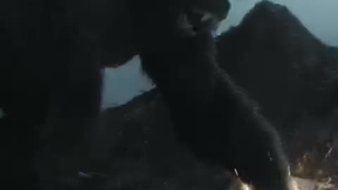 Godzilla Vs. Kong