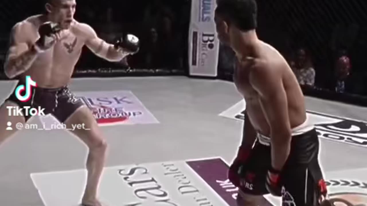 UFC brutal knockout